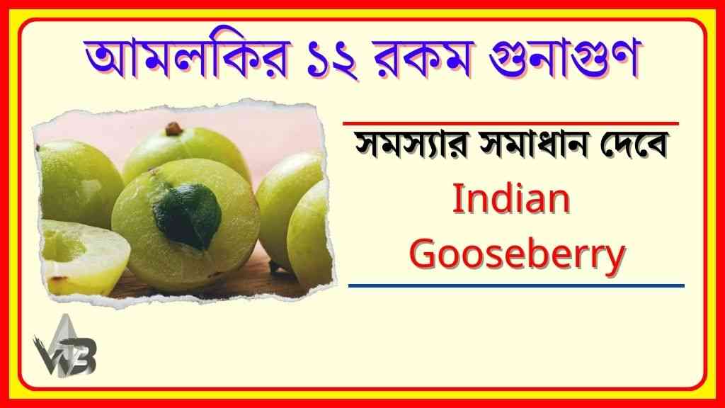 Benefits of Gooseberry